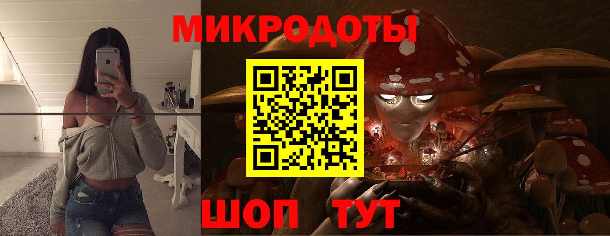Псилоцибиновые грибы Cubensis Ростов Великий